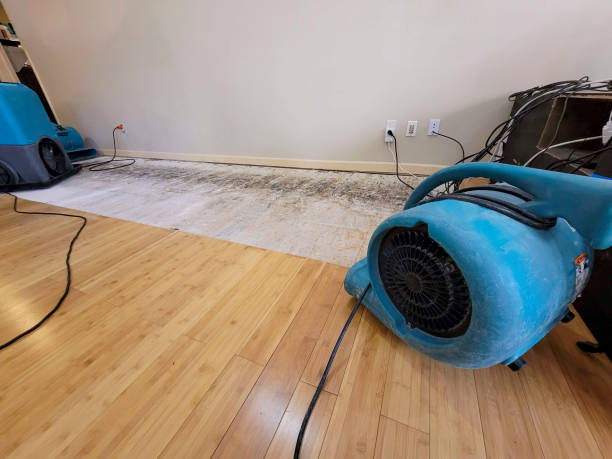 Professional Water Damage Repair technician working in Midvale, ID